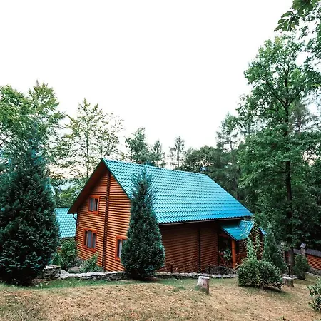 Polyana Mini Yasinya